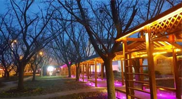 原生态公园亮化 LED洗墙灯与大自然融为一体