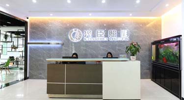 亮化项目投标 看光臣照明为您准备的这些资料